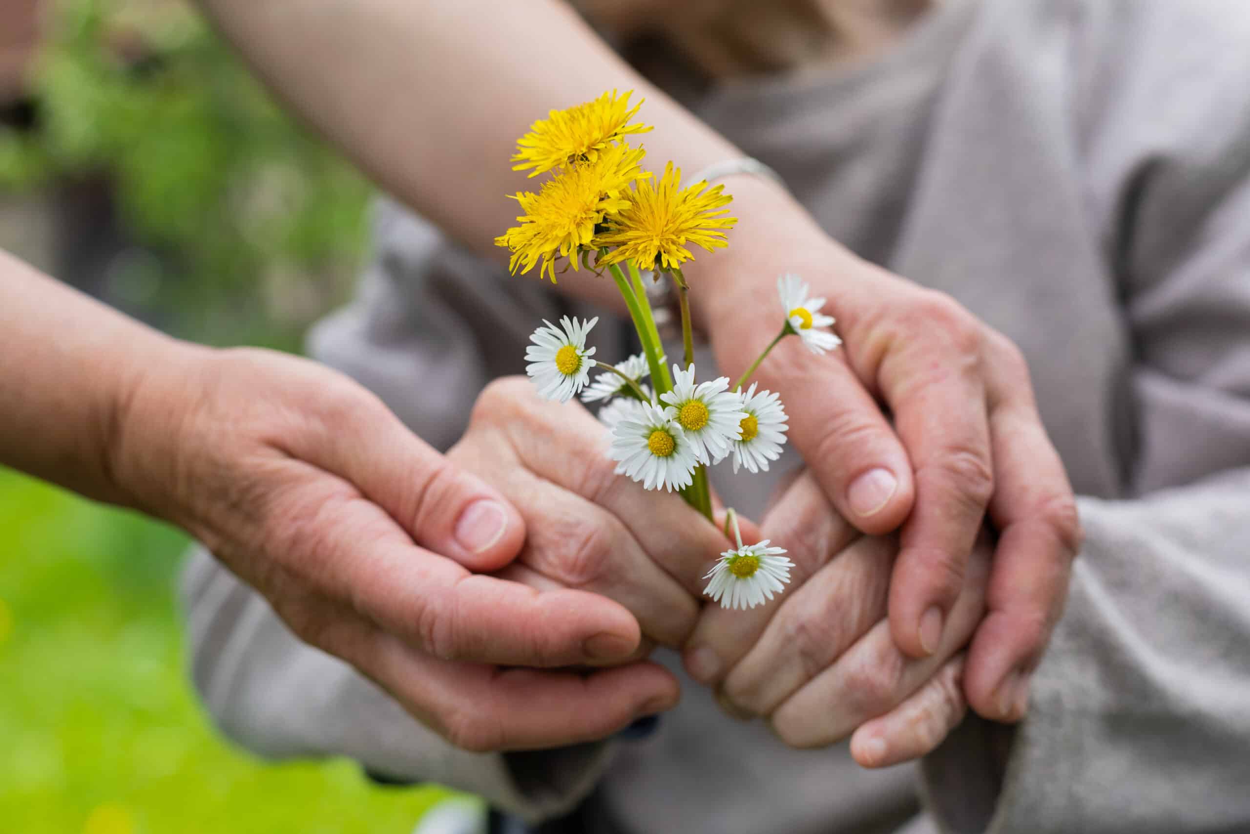 Dementia and Alzheimer’s: Updates from a Leading Geriatrician